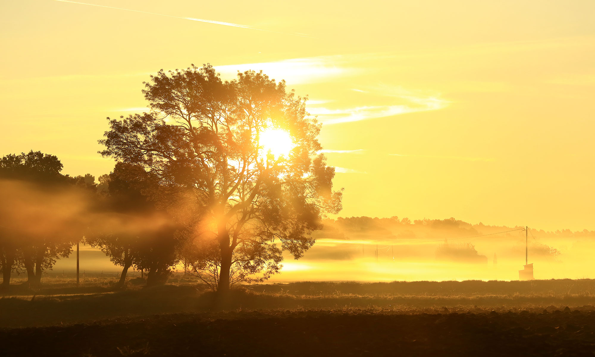 village ampus paysage