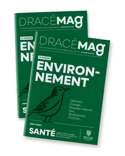 magazine dracenie mag mockup