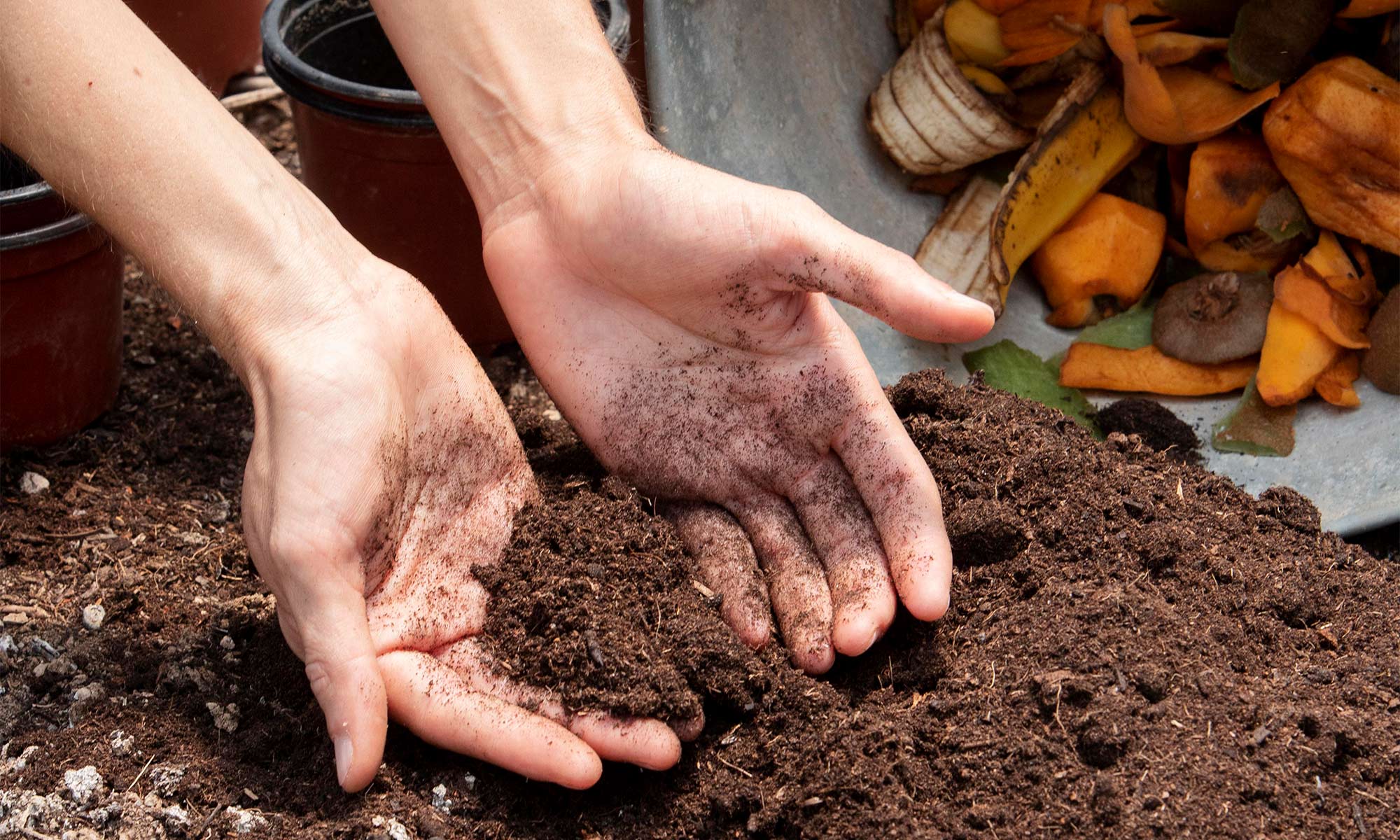 dpva visuel compost poubelle dechets