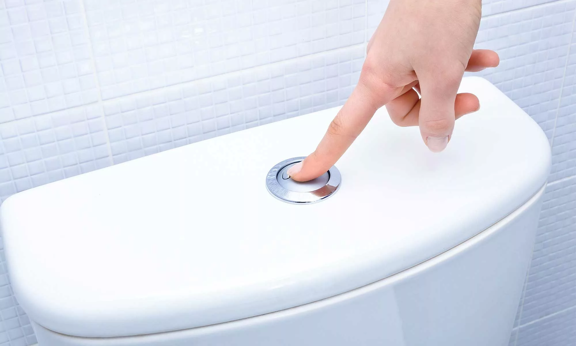 dpva eau assainissment toilettes wc chasse eau