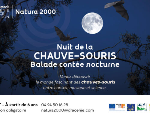 28e Nuit Internationale de la Chauve-Souris