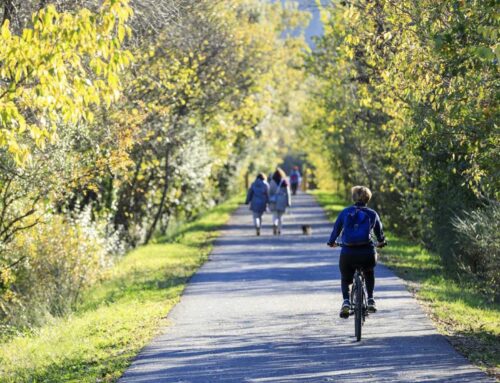 La Dracénie s’engage pour la mobilité