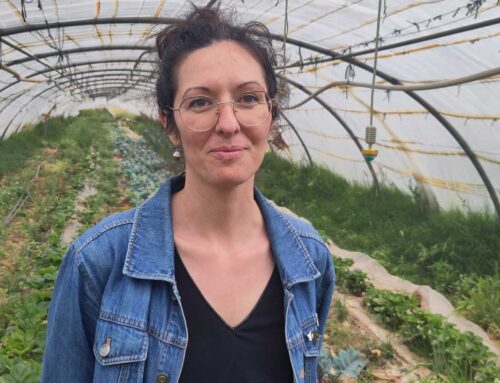 Aux Arcs-sur-Argens, la ferme de Saint-Jean sème les graines d’une alimentation durable