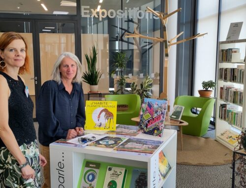 La Grande Braderie des médiathèques : la culture a aussi droit à une seconde vie !