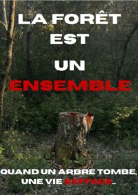 affiche lycée jean moulin 1