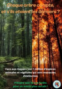 affiche lycée jean moulin 6