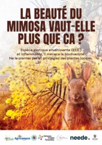 affiche lycée val d'argens 1
