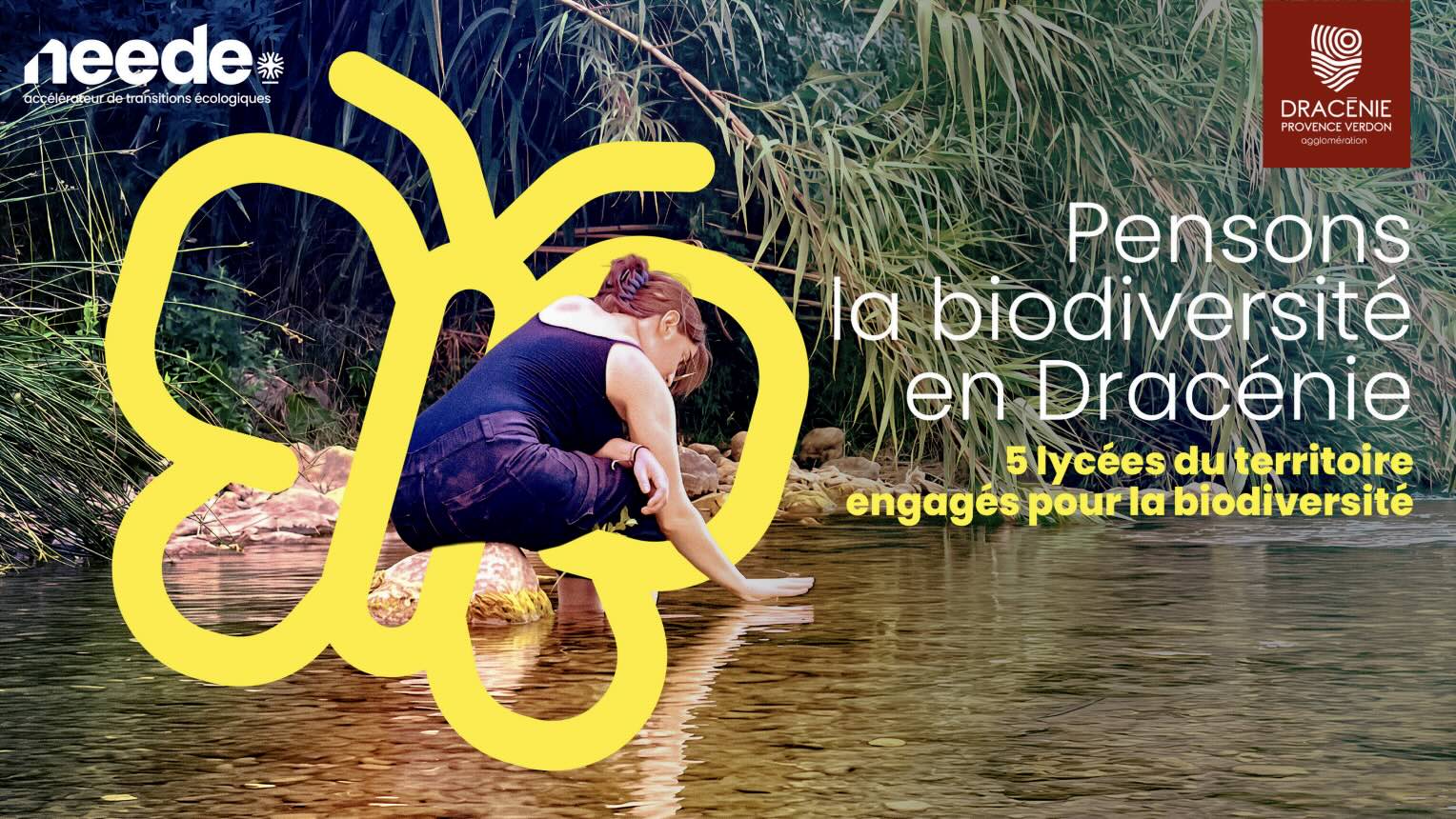 biodiversite en dracenie biodiversite en dracenie